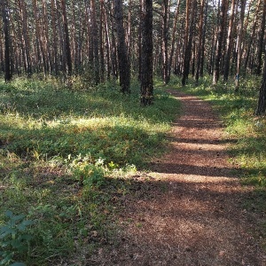 Фото от владельца Сказка, комплекс загородного отдыха