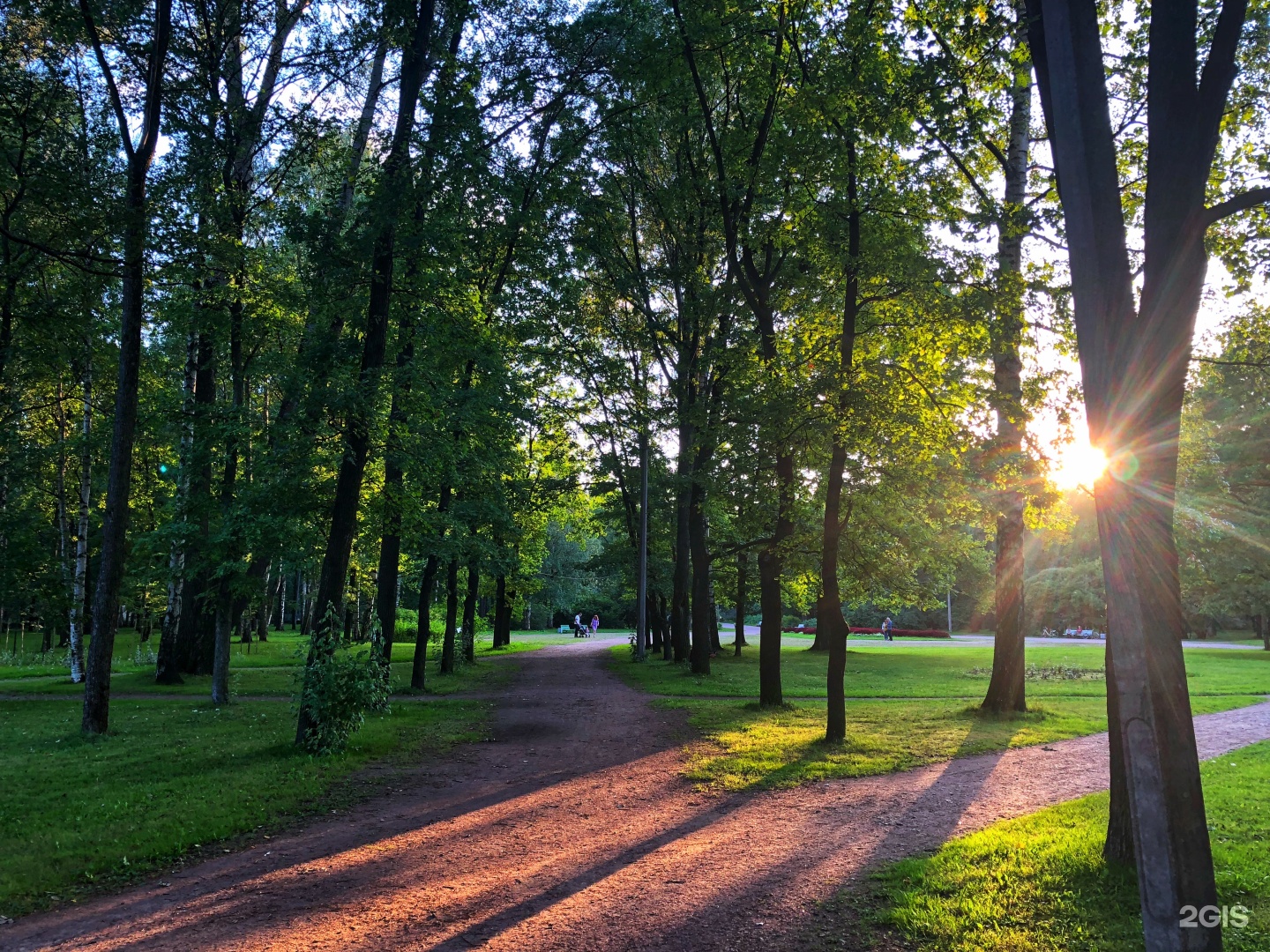 Green park петербург. Удельный парк СПБ. Удельный парк ночью. Удельный парк СПБ пикник. Лесотехнический парк СПБ.