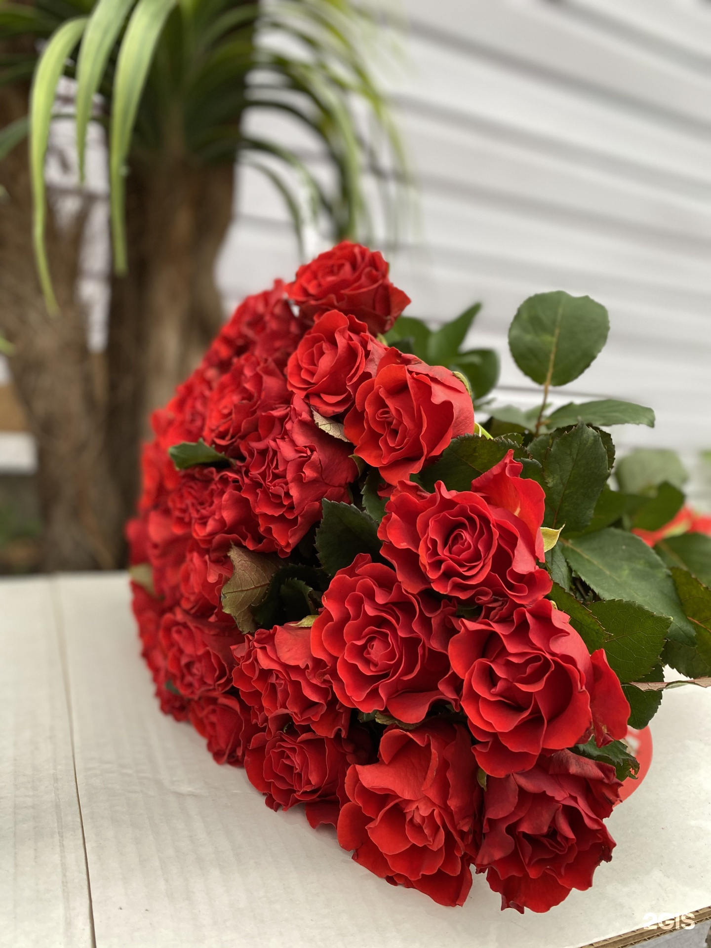 Flowers цветы москва. цветы букет на улице. букет цветов для дарьи. букеты москва. цветы ласфлоре.