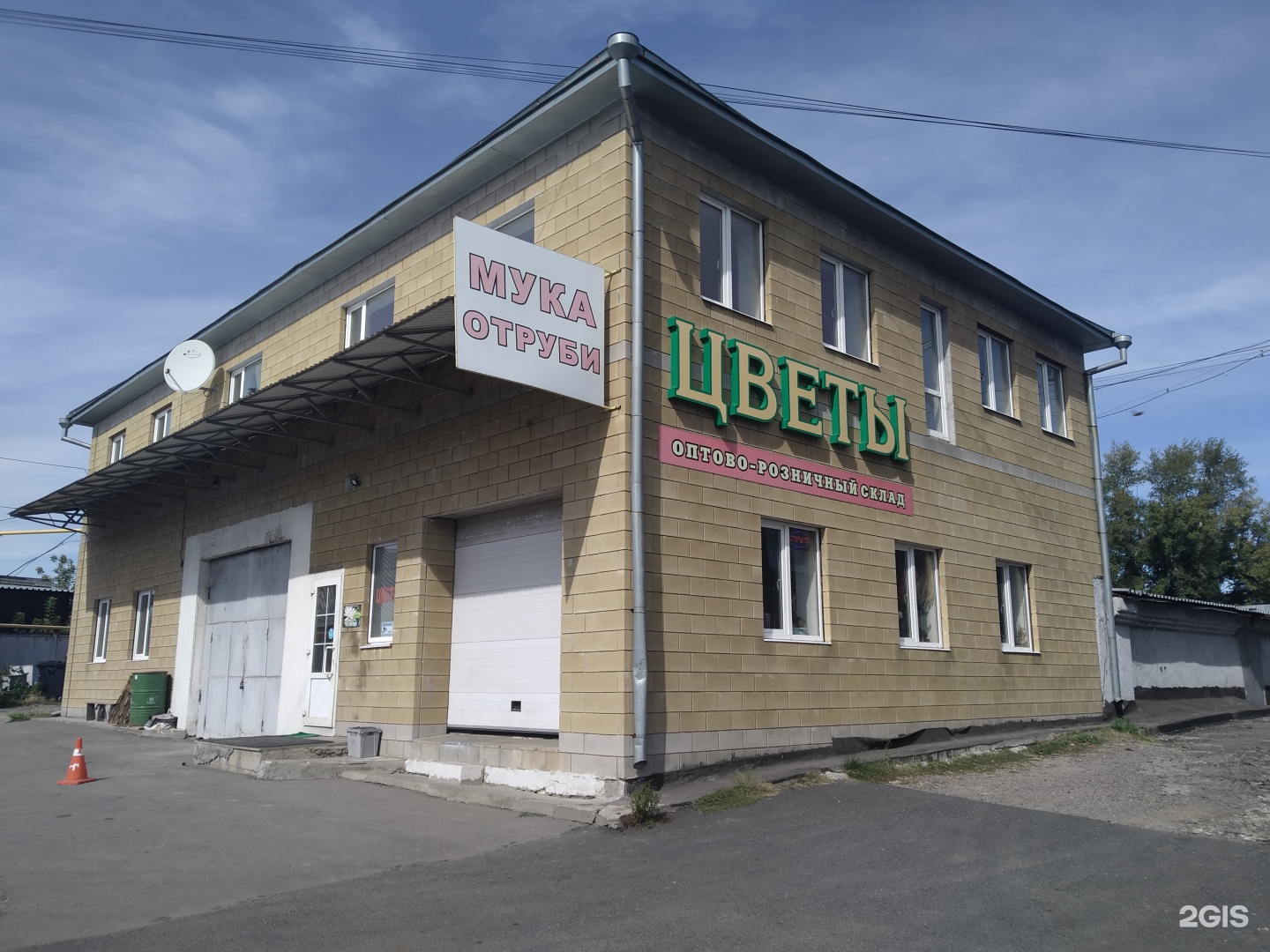 Купить Цветы Оптом Курск