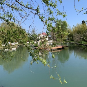 Фото от владельца Южные культуры, парк