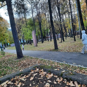 Фото от владельца Центральный парк развлечений им. М. Горького