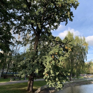 Фото от владельца Лианозовский, парк культуры и отдыха