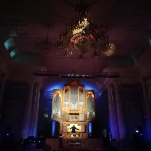 Фото от владельца Родина, зал органной и камерной музыки