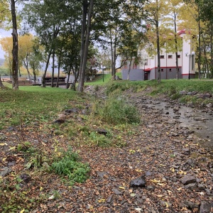 Фото от владельца Городской парк культуры и отдыха им. Ю.А. Гагарина