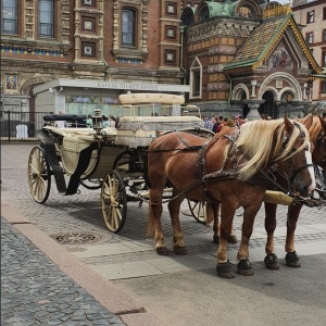 Фото от владельца Спас на крови, музей-памятник