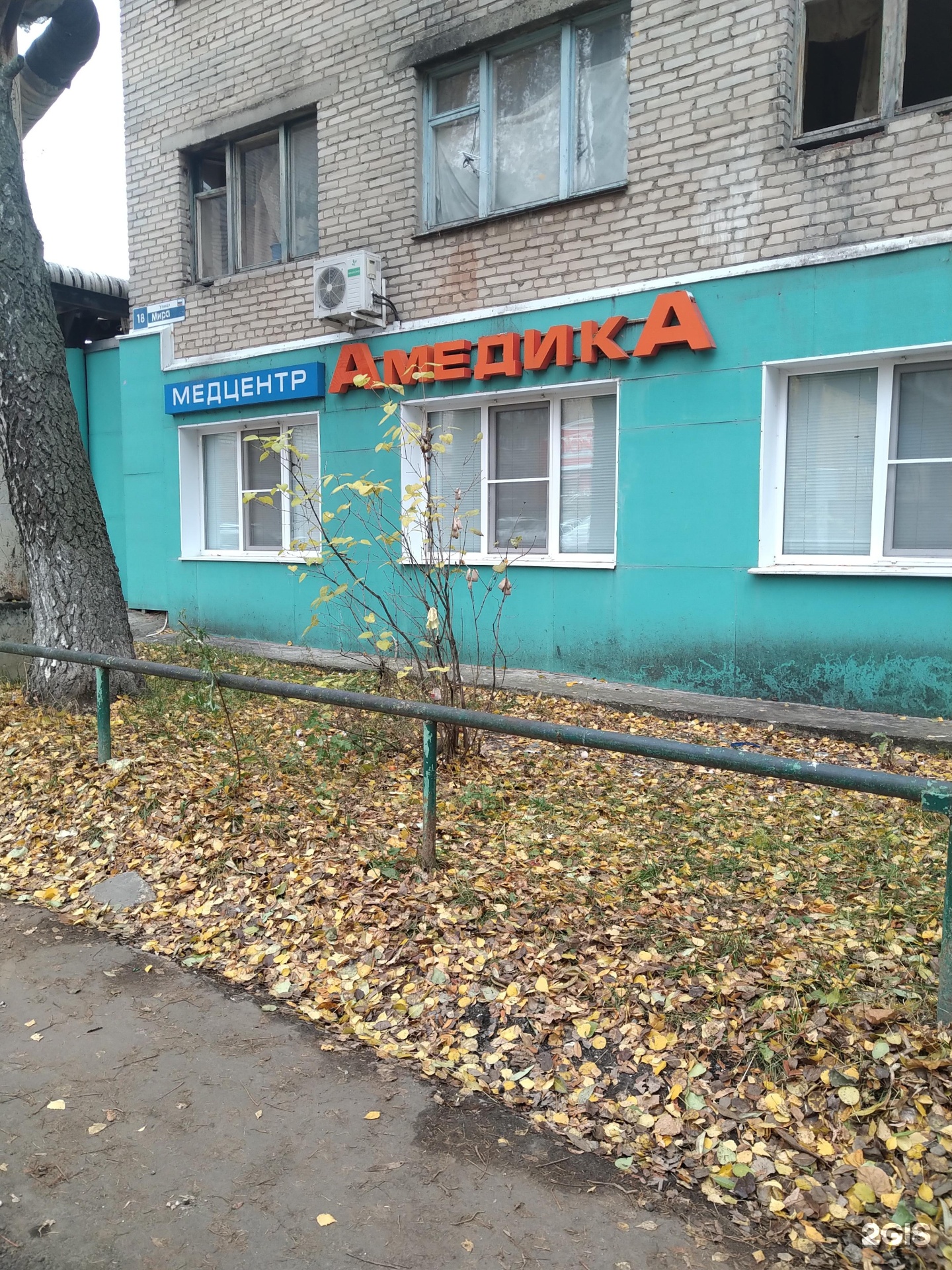 Амедика ногинск