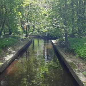 Фото от владельца Центральный парк культуры и отдыха им. С.М. Кирова