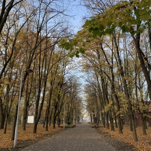 Фото от владельца Чистяковская роща, парк культуры и отдыха