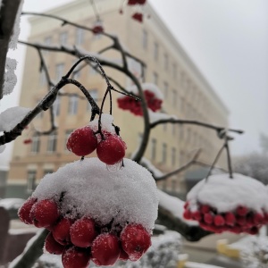 Фото от владельца Министерство финансов Ставропольского края