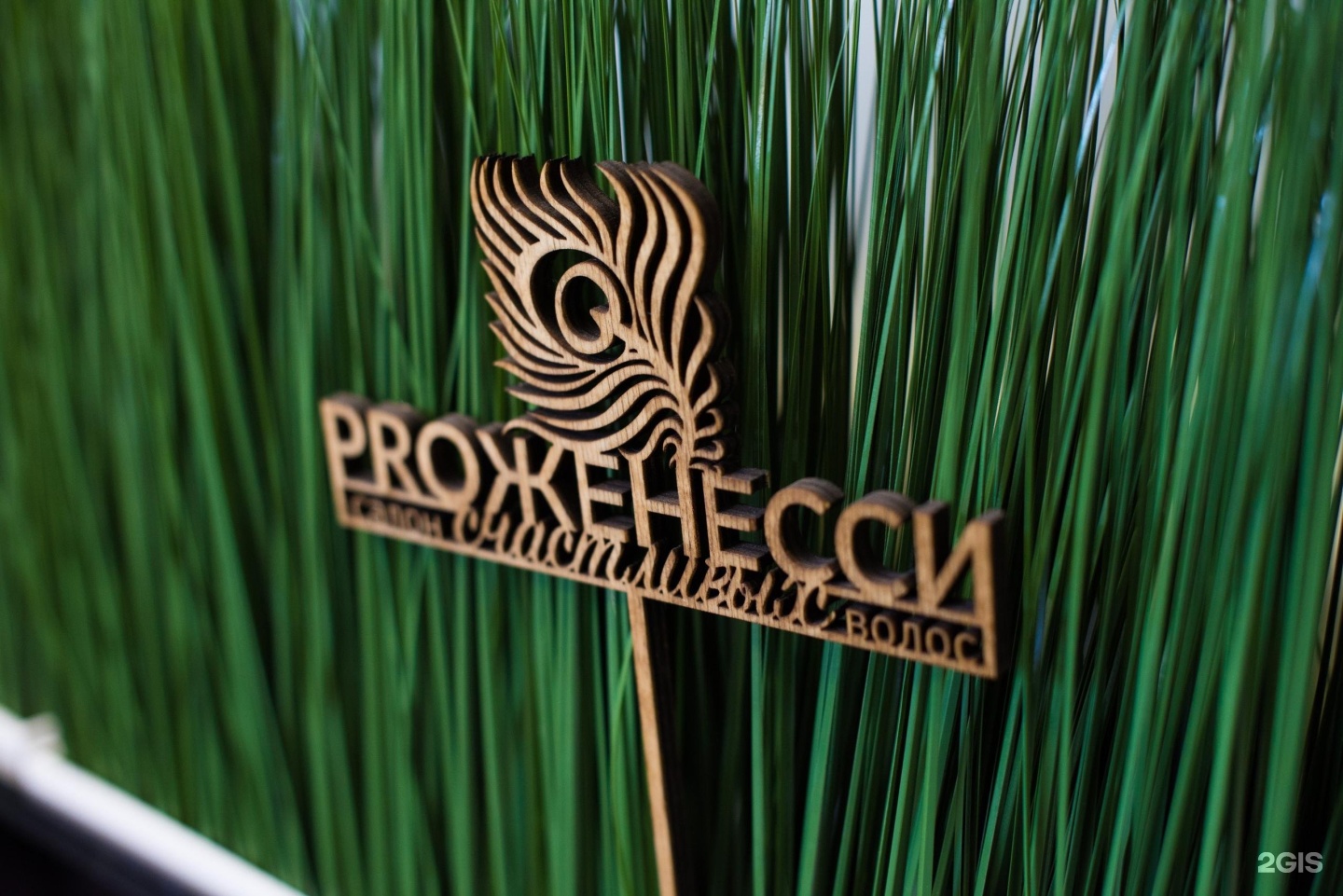 кирова 125 ижевск салон красоты. улица кирова 125 ижевск. кирова 125 ижевск на карте. проженесси ижевск. проженесси ижевск.