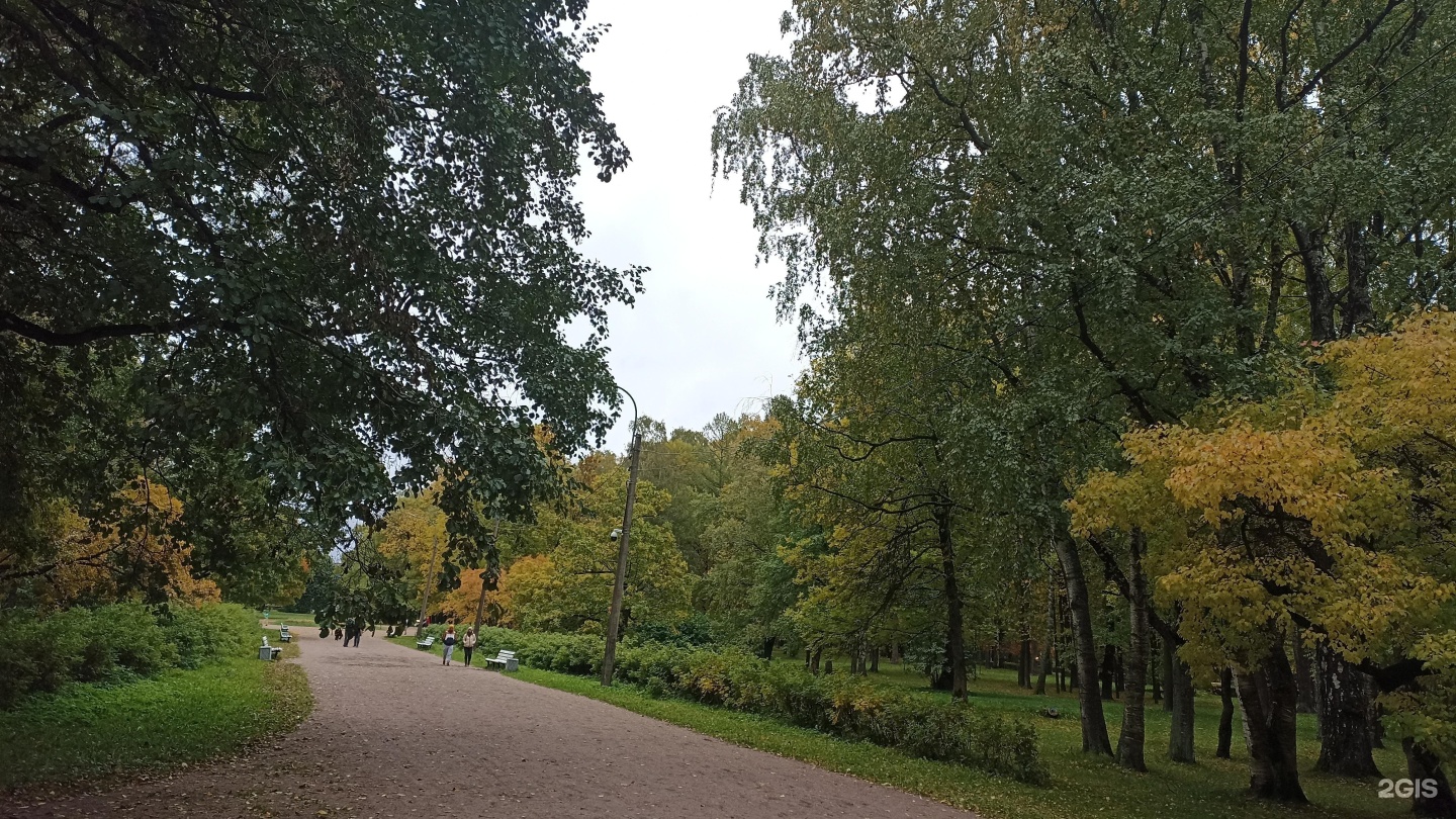 Удельный парк санкт петербург фото