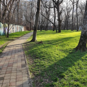 Фото от владельца Чистяковская роща, парк культуры и отдыха