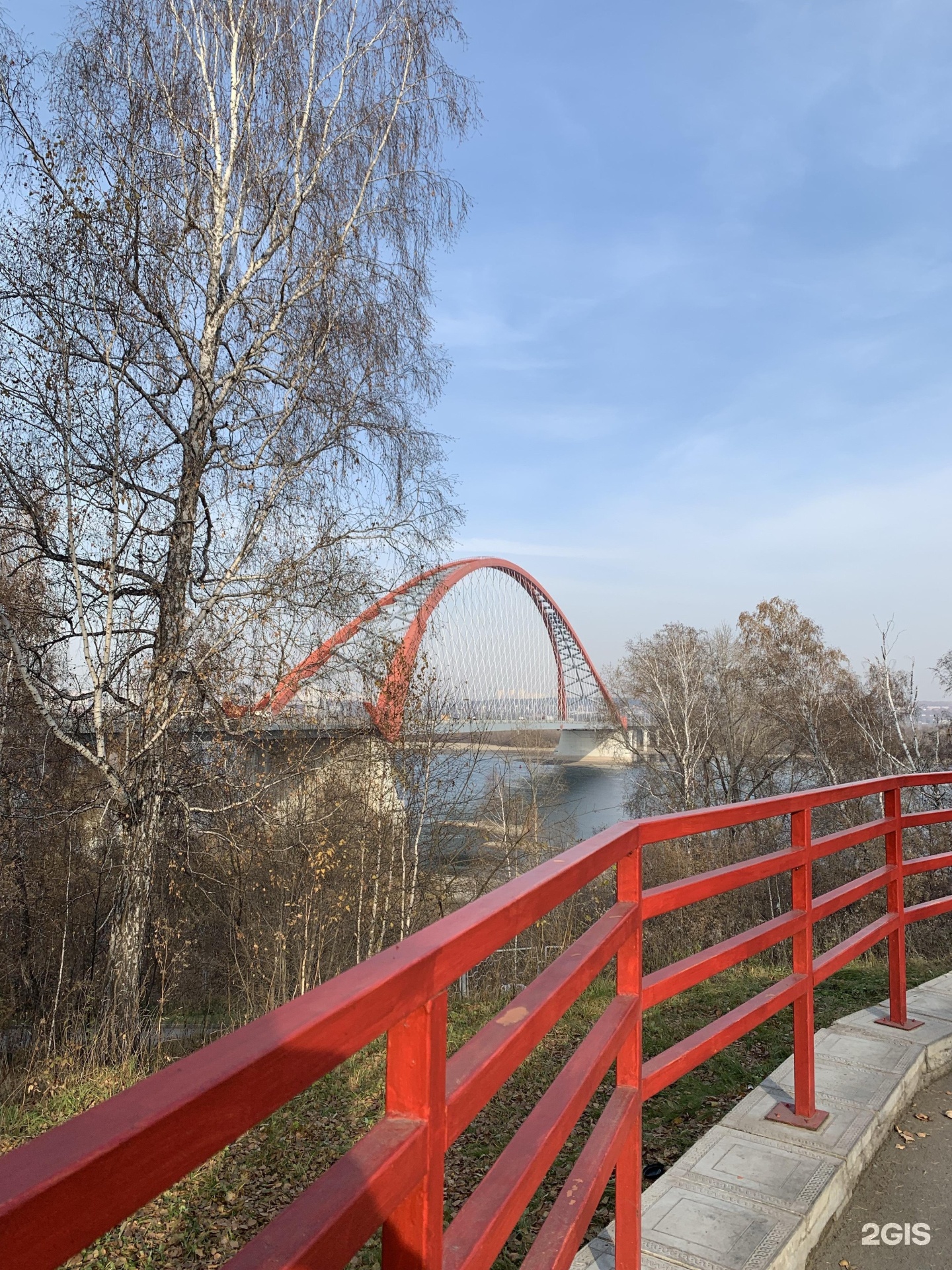 Бугринская роща новосибирск беседки