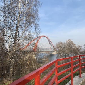 Фото от владельца Бугринская роща, парк культуры и отдыха