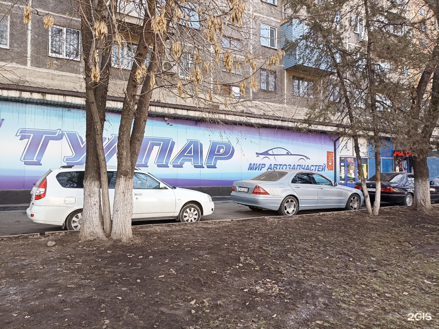 Пицца тулпар в темиртау