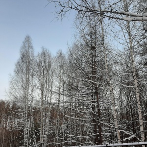 Фото от владельца Политехник, стадион