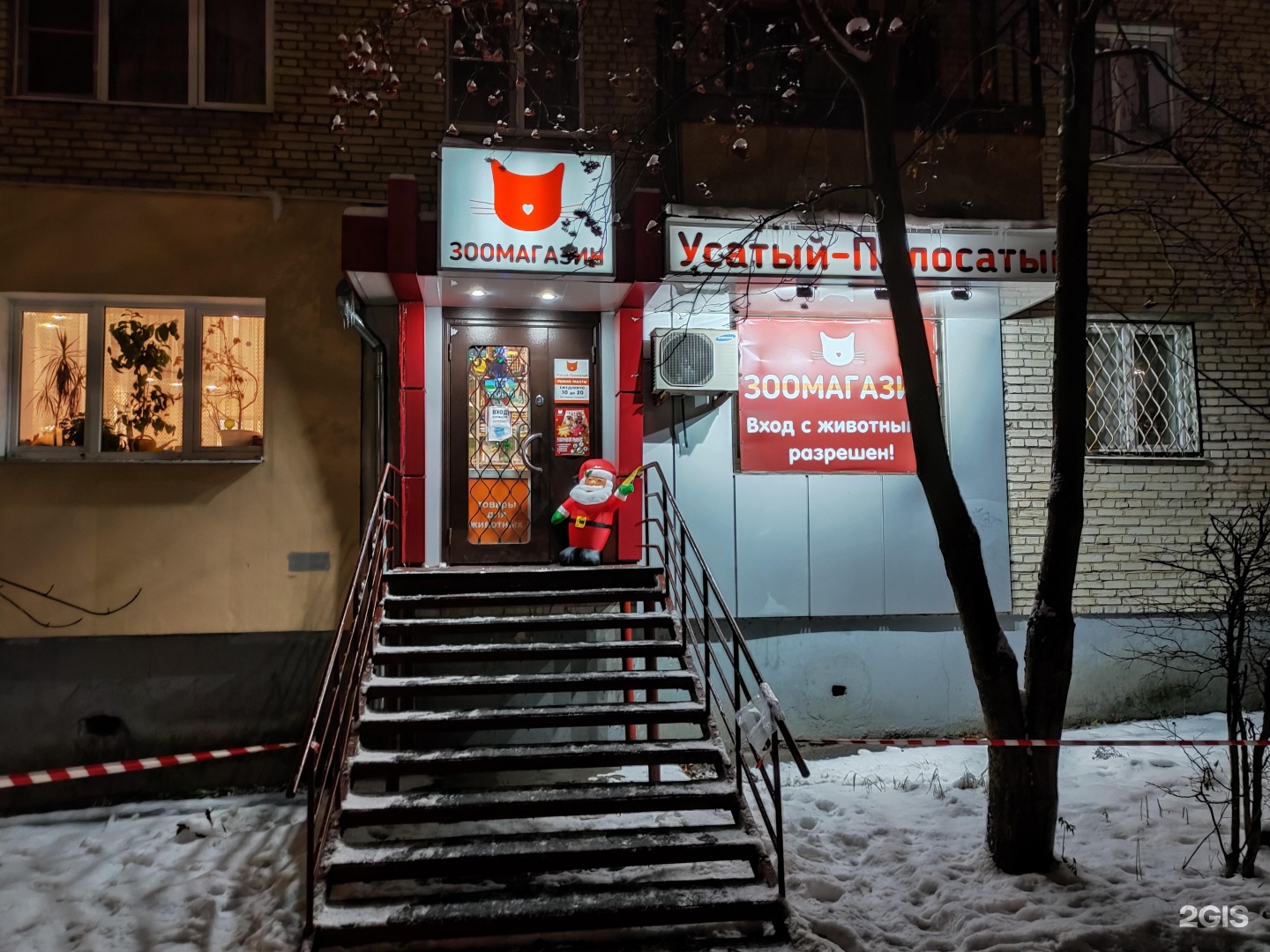 Усатый полосатый зоомагазин тула. Усатый полосатый зоомагазин Тула Колетвинова. Зоомагазин Фрунзе. Усатый полосатый зоомагазин Тула Оборонная