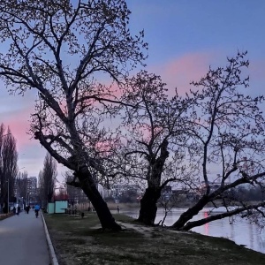 Фото от владельца Солнечный остров, парк культуры и отдыха