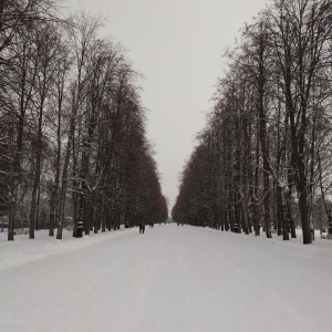 Фото от владельца Приморский парк Победы