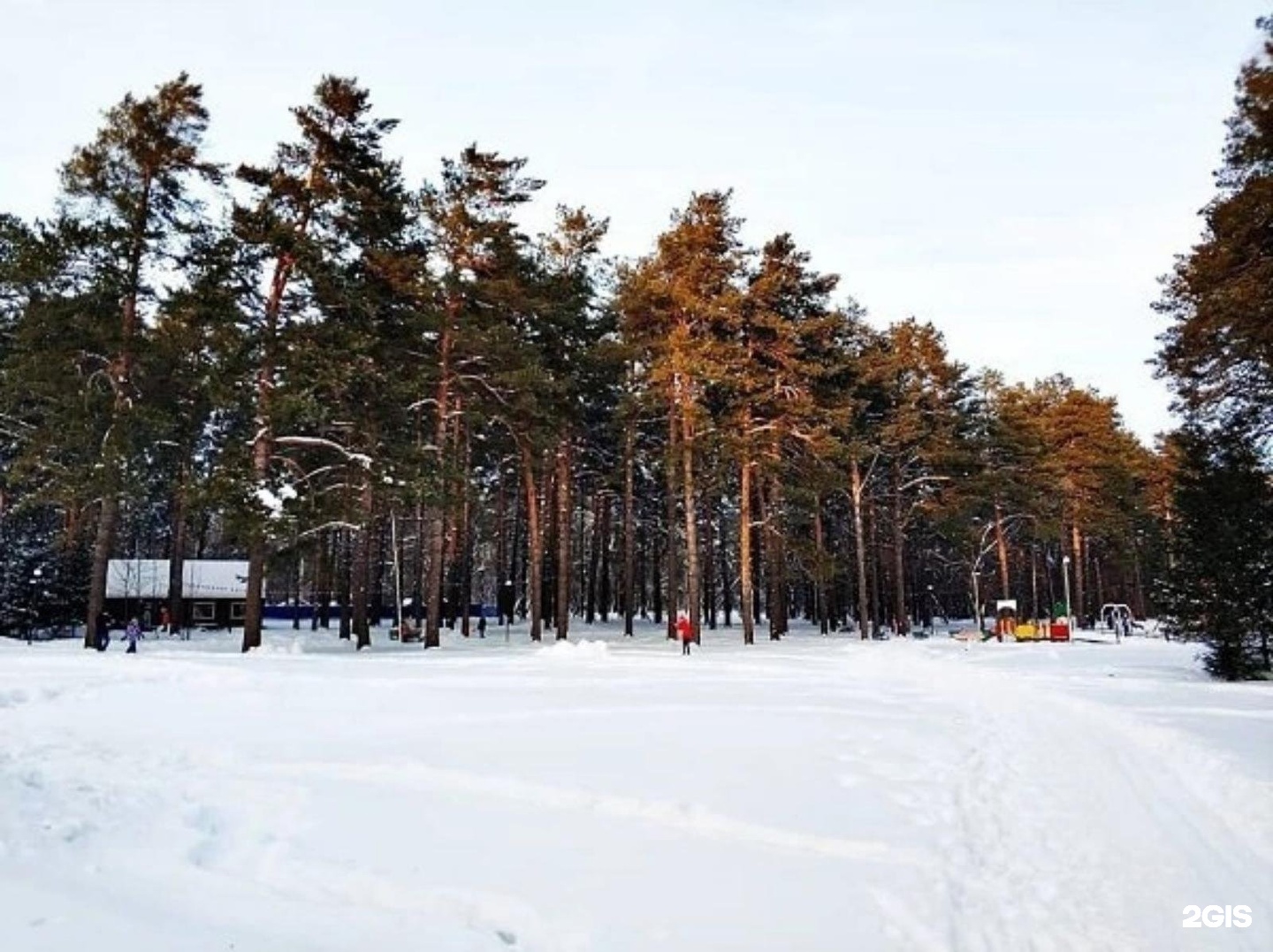 парки новосибирска зимой