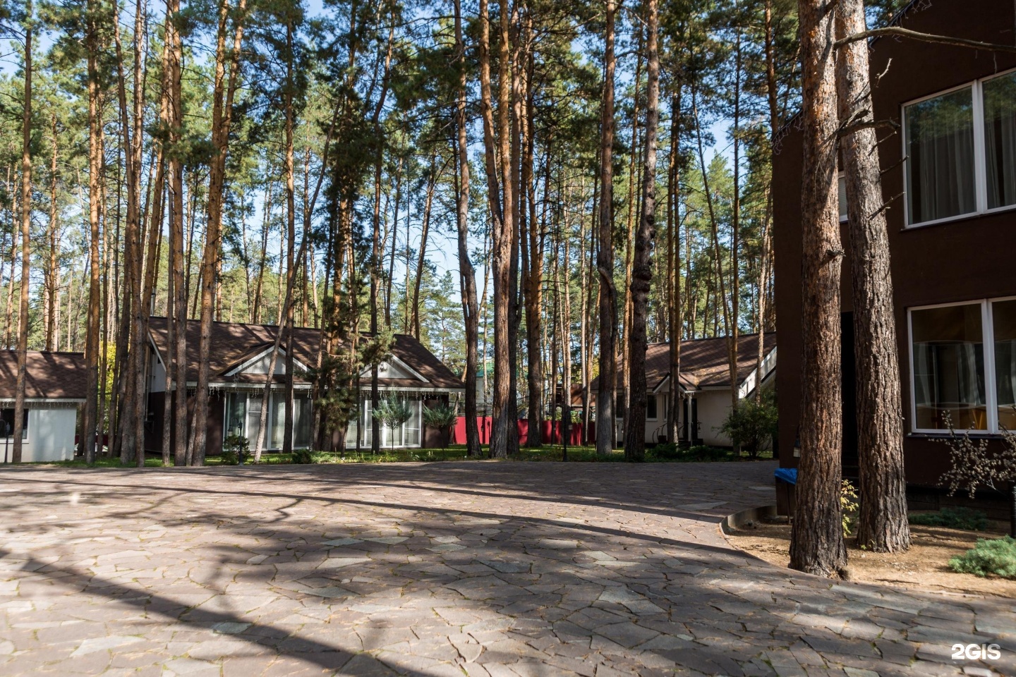 Forrest hotel. Forrest парк отель Самара. Forrest Mix Club Репино. Sosnovoe Family Club турбаза Самара. Парк отель Сосновое Фэмили клаб Самара.