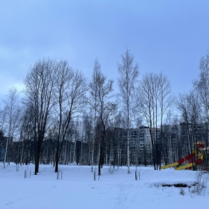 Фото от владельца Парк культуры и отдыха, г. Колпино