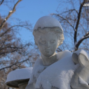 Фото от владельца Детский парк им. В.В. Терешковой