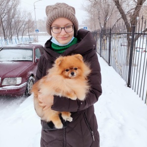 Фото от владельца Lucky Dog, магазин зоотоваров