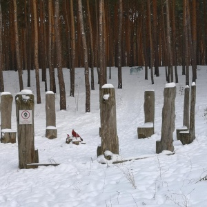 Фото от владельца Пикник, парк