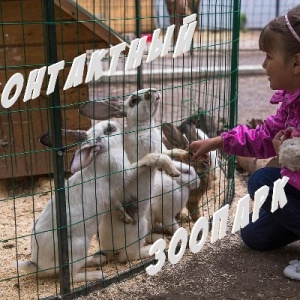 Фото от владельца Караван, пансионат