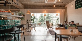 Сочи: Хостел Plants & Friends