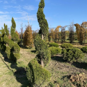 Фото от владельца Братья Green, группа компаний