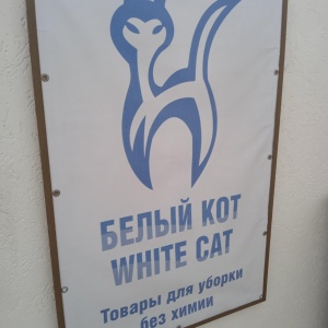 Фото от владельца Белый кот, компания