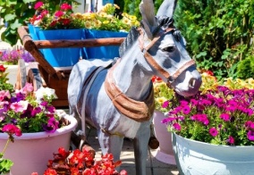 Отель Бирюза в Лермонтово