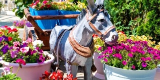 Лермонтово: Отель Бирюза