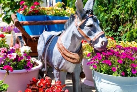 Лермонтово: Отель Бирюза