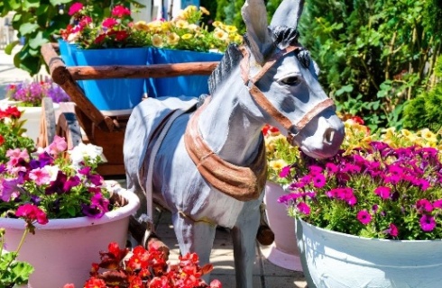 с. Лермонтово: Отель Бирюза