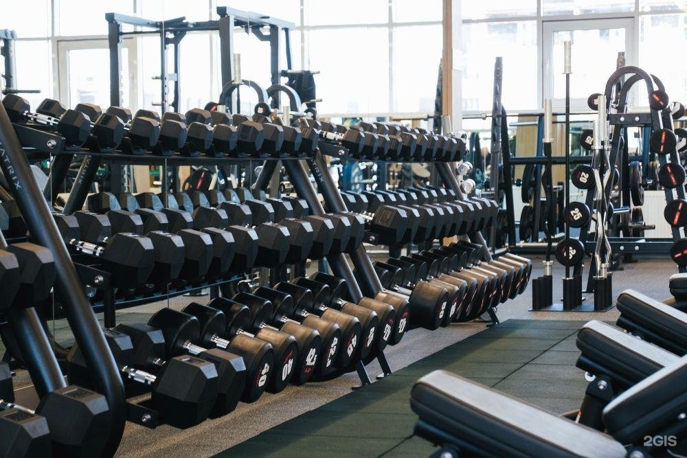 Infiz gym воронеж. Леди джим кисловодск спортзал. Фаворит воронеж. Иркутск олимпия первомайский. Фитнес зал почеп.