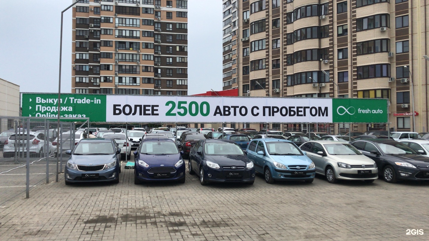 Motor краснодар. В мотор Краснодар. Krasnodar Motor.