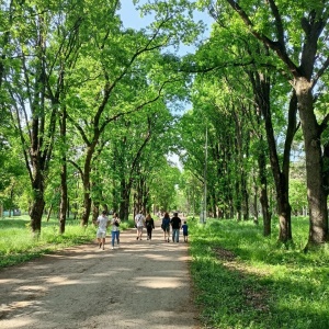 Фото от владельца Солнечный остров, парк культуры и отдыха