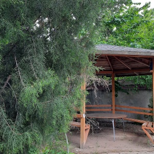 Фото от владельца Волгоградский региональный ботанический сад