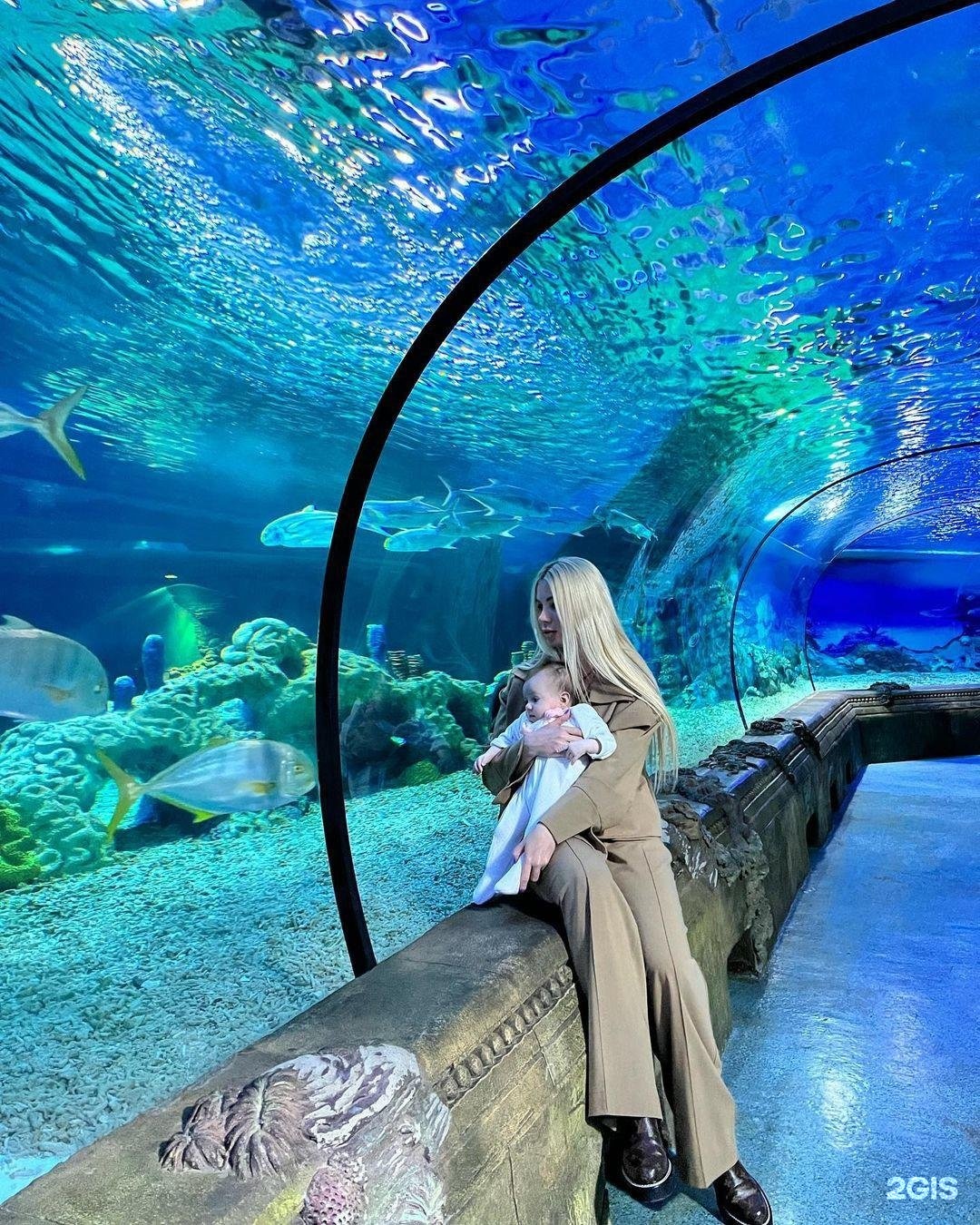 московский зоопарк океанариум
