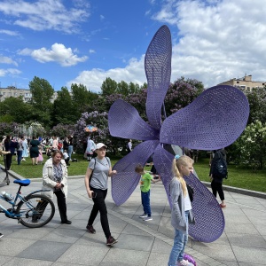 Фото от владельца Сиреневый сад