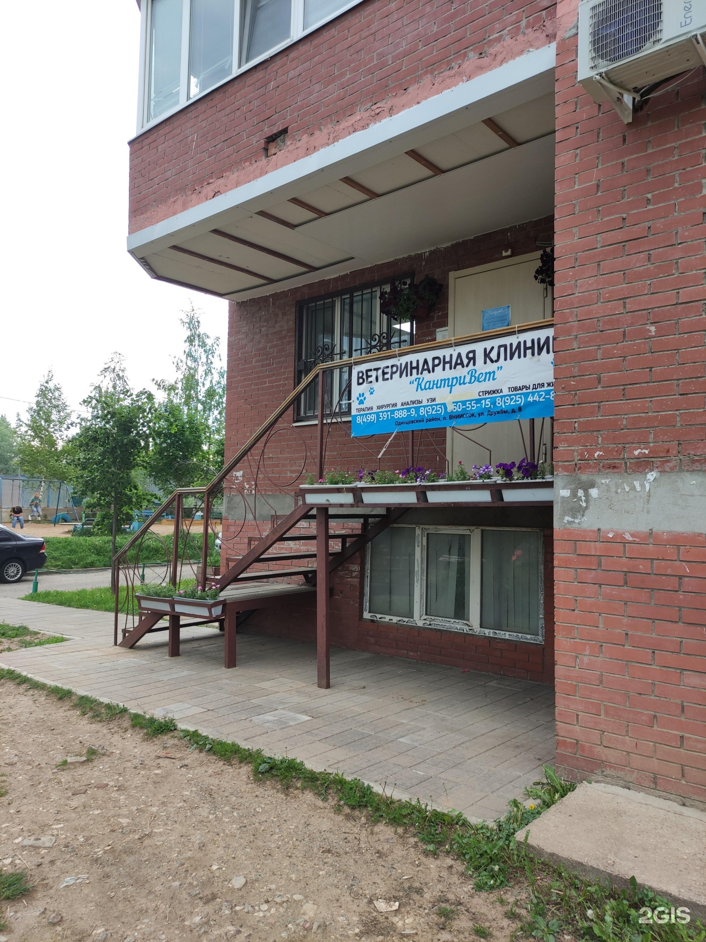 кантривет. логотип клиники кантривет. дигрова ветеринар одинцово. кантривет. ветеринар москва.