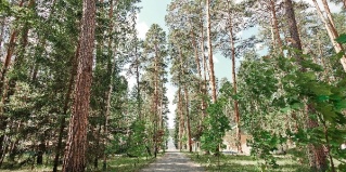 Верхняя Сысерть: Глэмпинг Салют
