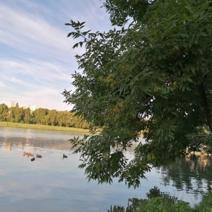 Фото от владельца Солнечный остров, парк культуры и отдыха