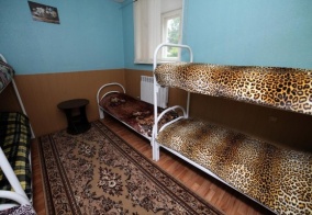 Мини-отель Дельфин в Костроме