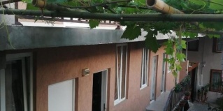 Сочи: Отель Водолей