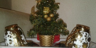 Уссурийск: Отель Мега